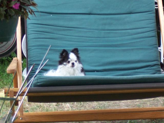 100_1502.JPG