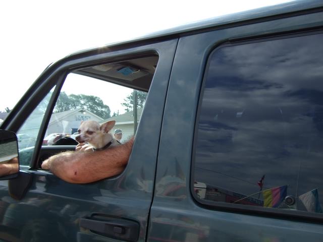 DSCF2027.JPG