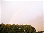 100_1473.JPG