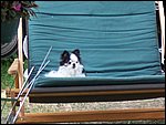 100_1502.JPG