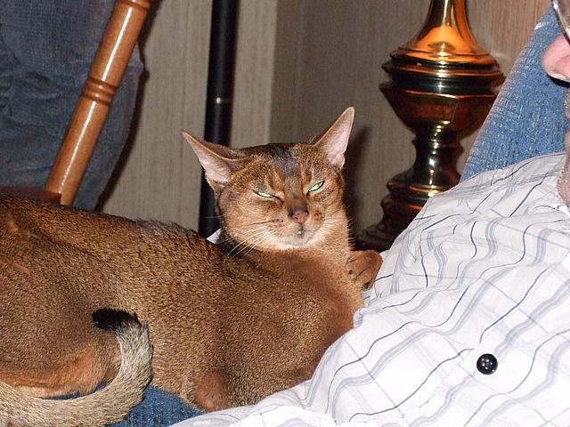 DSCF2496.JPG