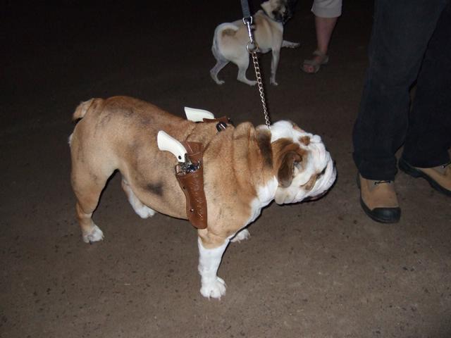 DSCF0990.JPG