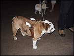 DSCF0990.JPG