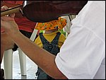 IMG_1528.JPG